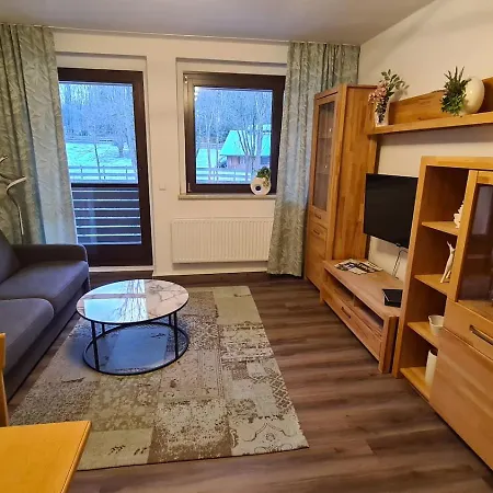 Am Buehlwald Apartment Eibenstock